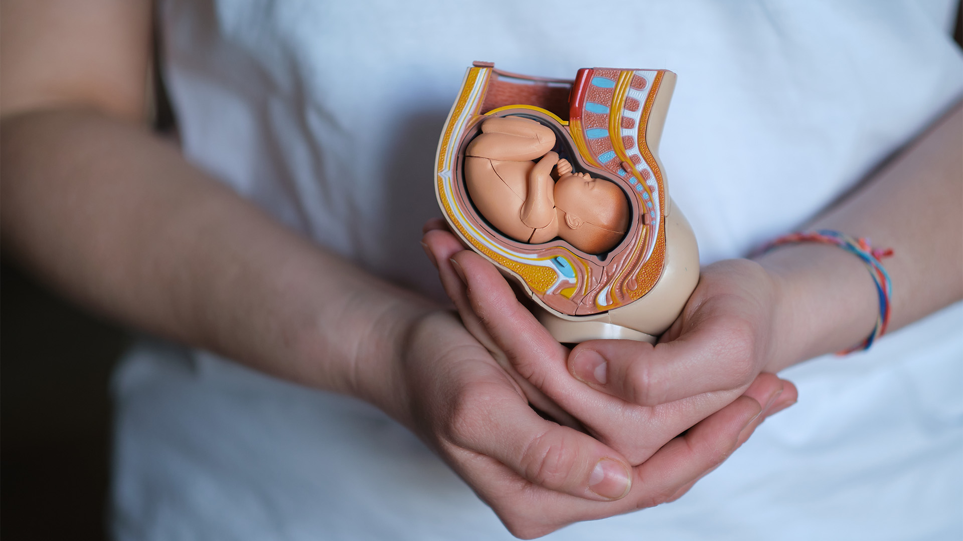 What is In Vitro Fertilization (IVF) Treatment? Who is it Suitable for?